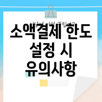 소액결제 한도 설정 시 유의사항