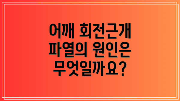 어깨 회전근개 파열의 원인은 무엇일까요?
