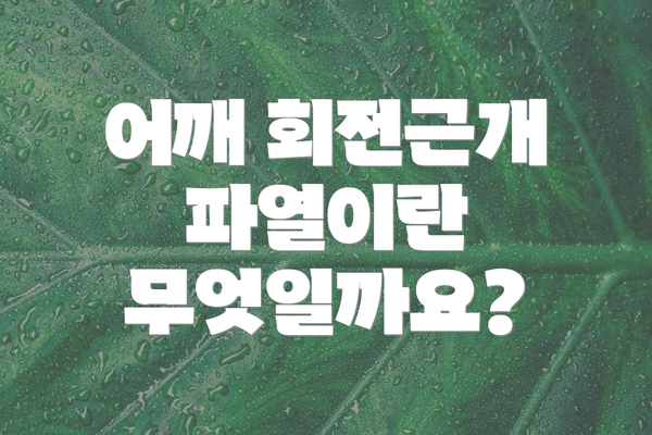 어깨 회전근개 파열이란 무엇일까요?