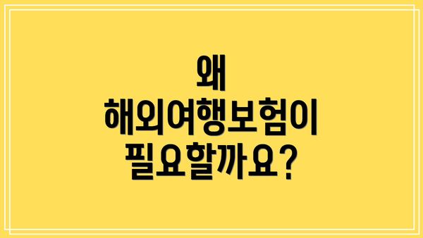왜 해외여행보험이 필요할까요?