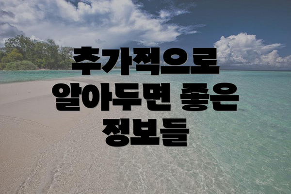 추가적으로 알아두면 좋은 정보들