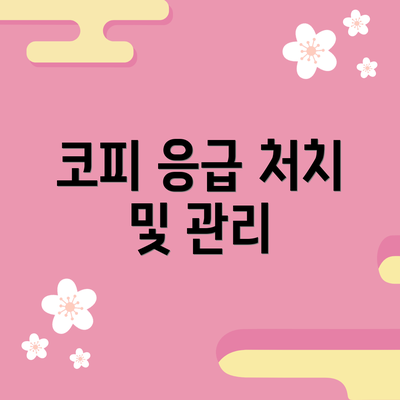 코피 응급 처치 및 관리