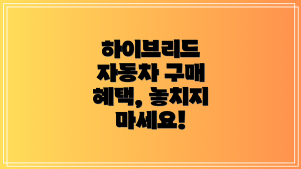 하이브리드 자동차 구매 혜택, 놓치지 마세요!
