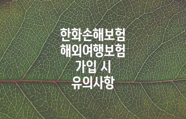한화손해보험 해외여행보험 가입 시 유의사항