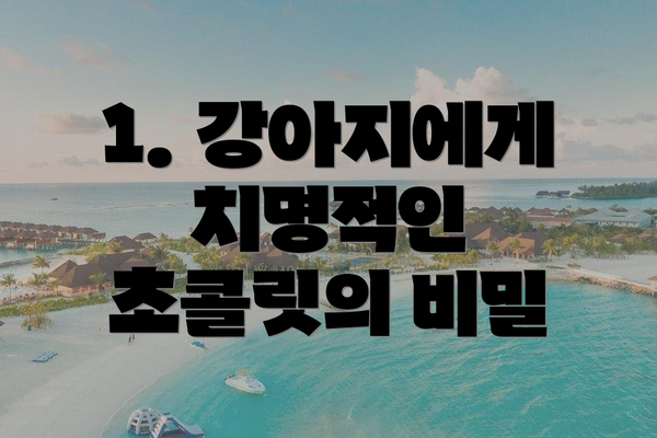 1. 강아지에게 치명적인 초콜릿의 비밀