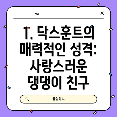 1. 닥스훈트의 매력적인 성격:  사랑스러운 댕댕이 친구