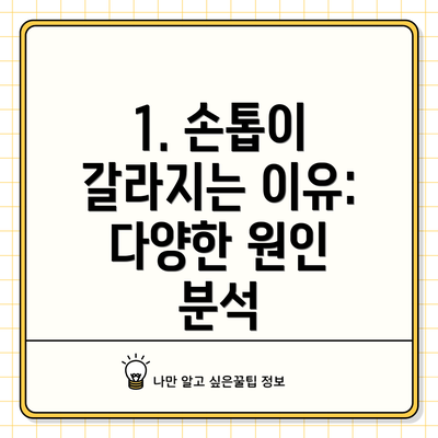 1. 손톱이 갈라지는 이유: 다양한 원인 분석