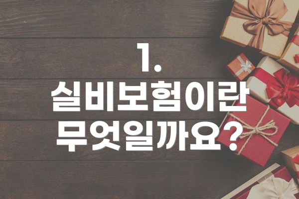 1. 실비보험이란 무엇일까요?