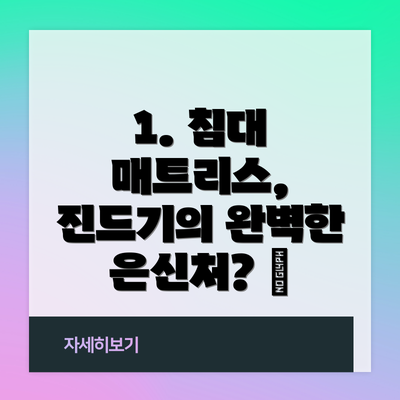 1. 침대 매트리스, 진드기의 완벽한 은신처? 🦠