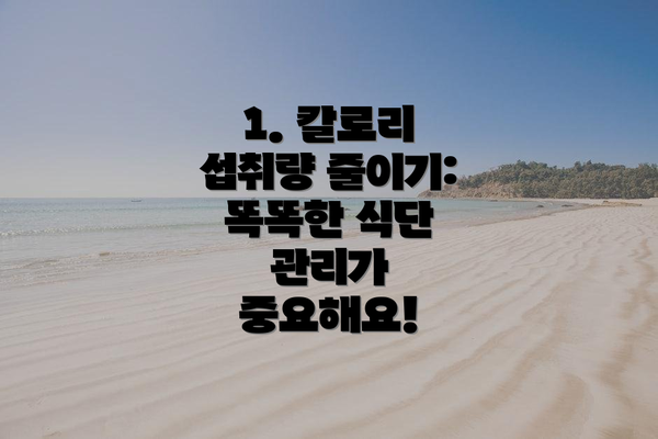1. 칼로리 섭취량 줄이기:  똑똑한 식단 관리가 중요해요!