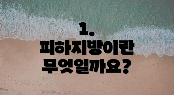 1. 피하지방이란 무엇일까요?