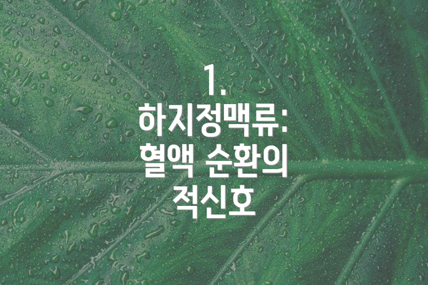 1. 하지정맥류: 혈액 순환의 적신호
