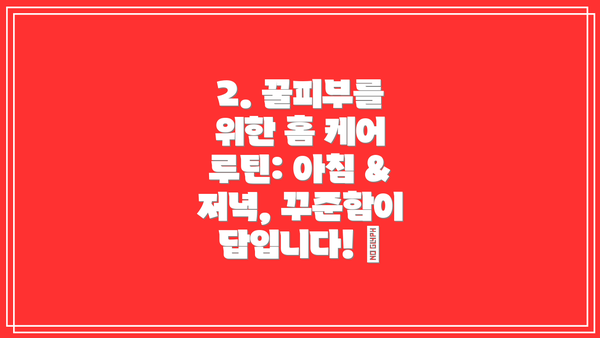 2. 꿀피부를 위한 홈 케어 루틴: 아침 & 저녁, 꾸준함이 답입니다! ✨