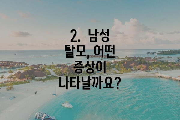 2.  남성 탈모, 어떤 증상이 나타날까요?