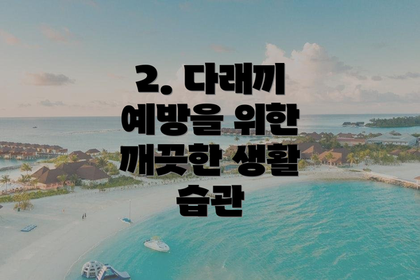 2. 다래끼 예방을 위한 깨끗한 생활 습관