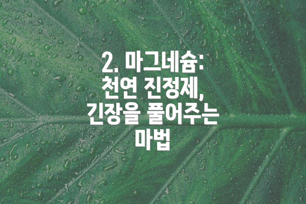 2. 마그네슘: 천연 진정제, 긴장을 풀어주는 마법