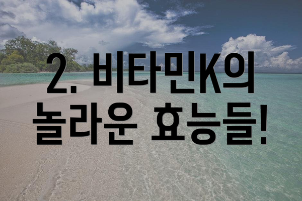 2. 비타민K의 놀라운 효능들!