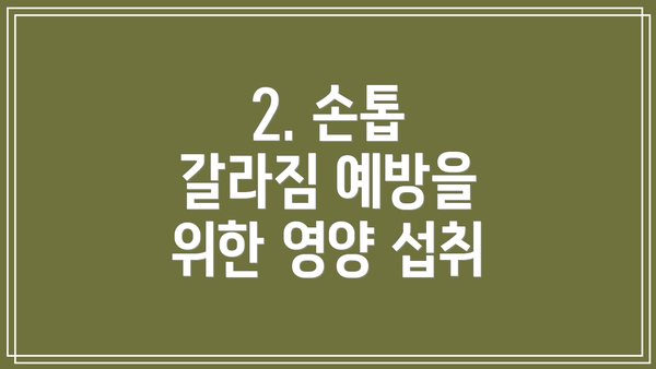 2. 손톱 갈라짐 예방을 위한 영양 섭취