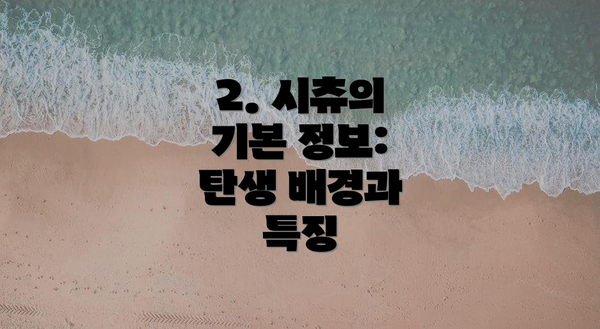 2. 시츄의 기본 정보: 탄생 배경과 특징