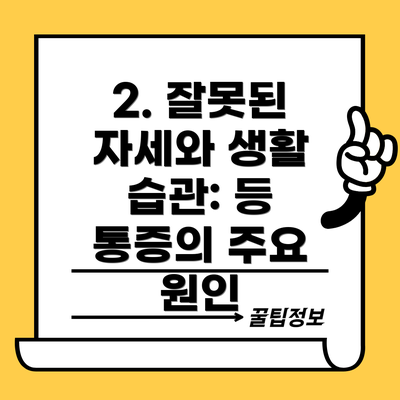 2. 잘못된 자세와 생활 습관: 등 통증의 주요 원인