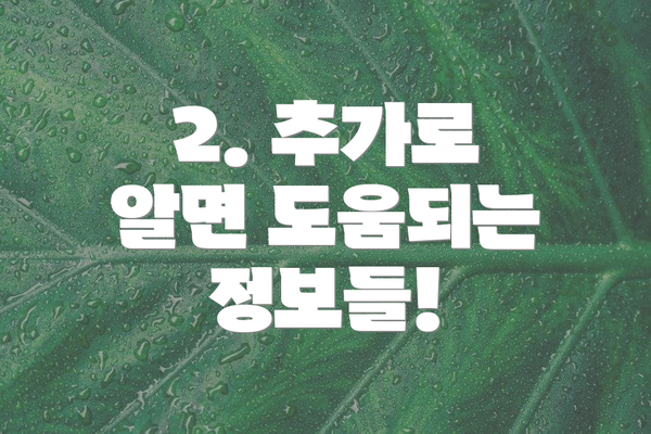 2. 추가로 알면 도움되는 정보들!