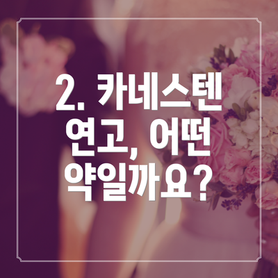 2. 카네스텐 연고, 어떤 약일까요?