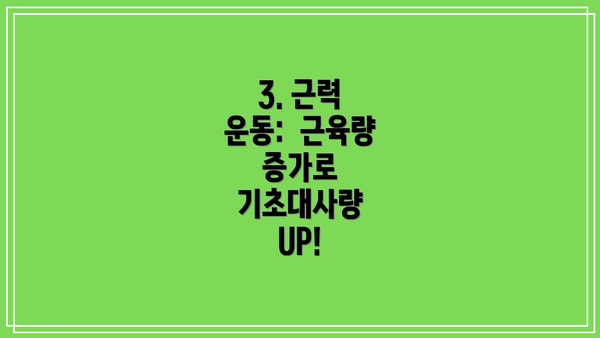 3. 근력 운동:  근육량 증가로  기초대사량 UP!