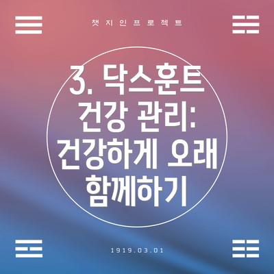 3. 닥스훈트 건강 관리: 건강하게 오래 함께하기