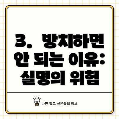 3.  방치하면 안 되는 이유: 실명의 위험