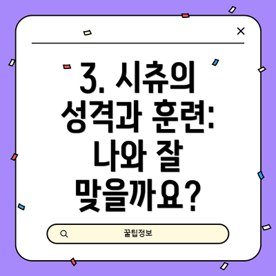 3. 시츄의 성격과 훈련: 나와 잘 맞을까요?