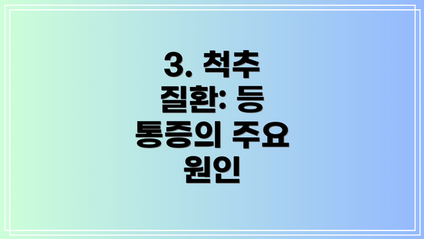 3. 척추 질환: 등 통증의 주요 원인