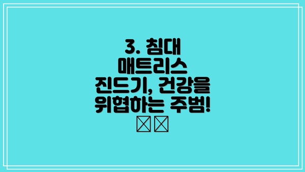 3. 침대 매트리스 진드기, 건강을 위협하는 주범! ⚠️
