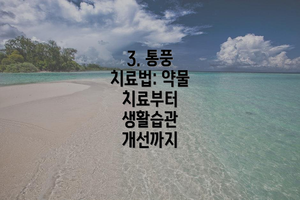 3. 통풍 치료법: 약물 치료부터 생활습관 개선까지