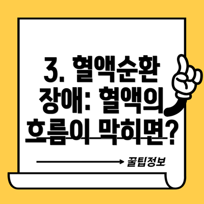 3. 혈액순환 장애: 혈액의 흐름이 막히면?