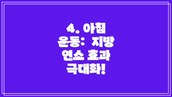 4. 아침 운동:  지방 연소 효과 극대화!