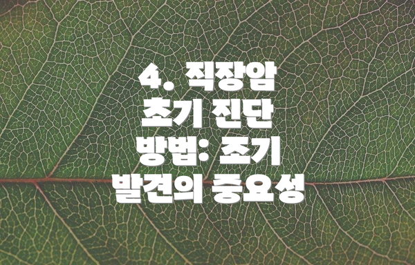 4. 직장암 초기 진단 방법: 조기 발견의 중요성