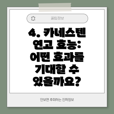 4. 카네스텐 연고 효능: 어떤 효과를 기대할 수 있을까요?