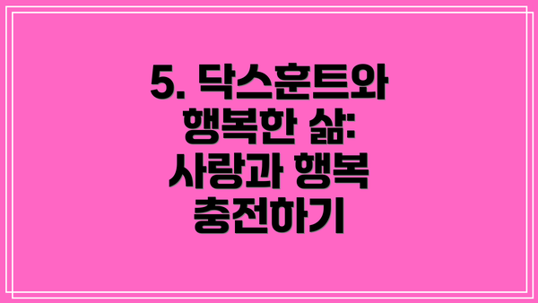 5. 닥스훈트와 행복한 삶:  사랑과 행복 충전하기