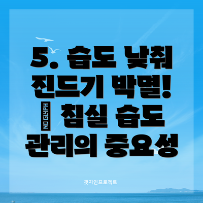 5. 습도 낮춰 진드기 박멸! 💧 침실 습도 관리의 중요성