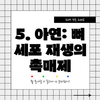 5. 아연: 뼈 세포 재생의 촉매제