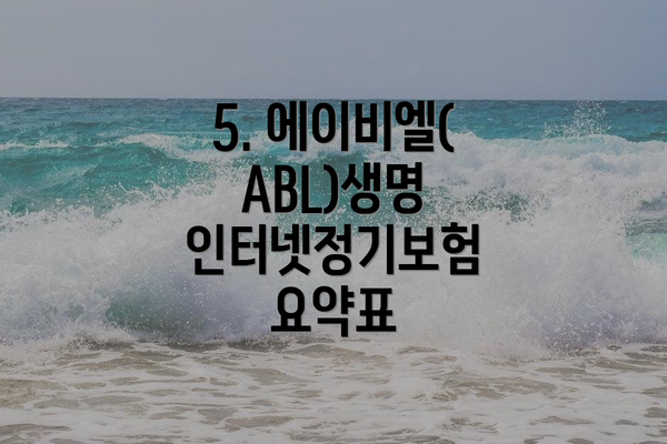 5. 에이비엘(ABL)생명 인터넷정기보험 요약표