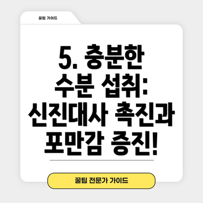 5. 충분한 수분 섭취:  신진대사 촉진과 포만감 증진!