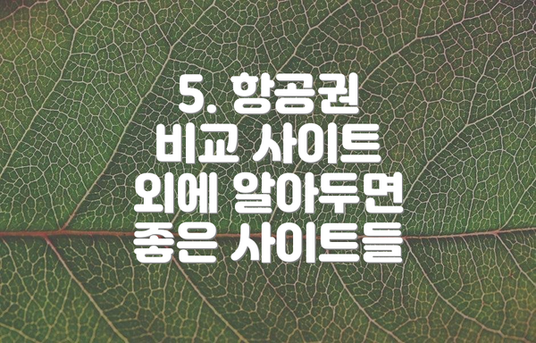 5. 항공권 비교 사이트 외에 알아두면 좋은 사이트들
