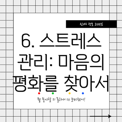 6. 스트레스 관리: 마음의 평화를 찾아서