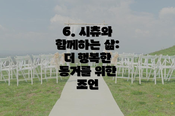 6. 시츄와 함께하는 삶: 더 행복한 동거를 위한 조언
