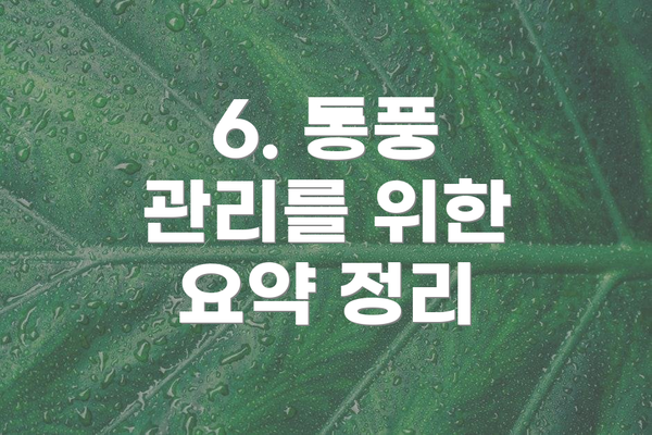 6. 통풍 관리를 위한 요약 정리