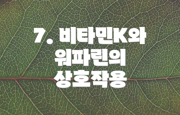 7. 비타민K와 워파린의 상호작용