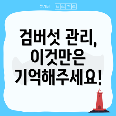 검버섯 관리, 이것만은 기억해주세요!