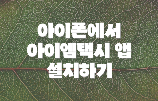 아이폰에서 아이엠택시 앱 설치하기