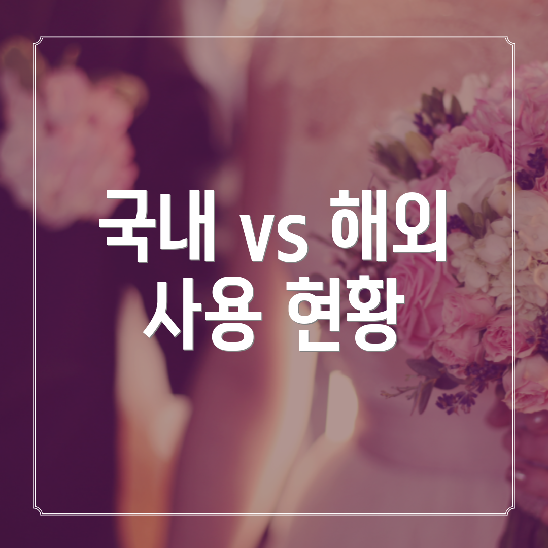 국내 vs 해외 사용 현황